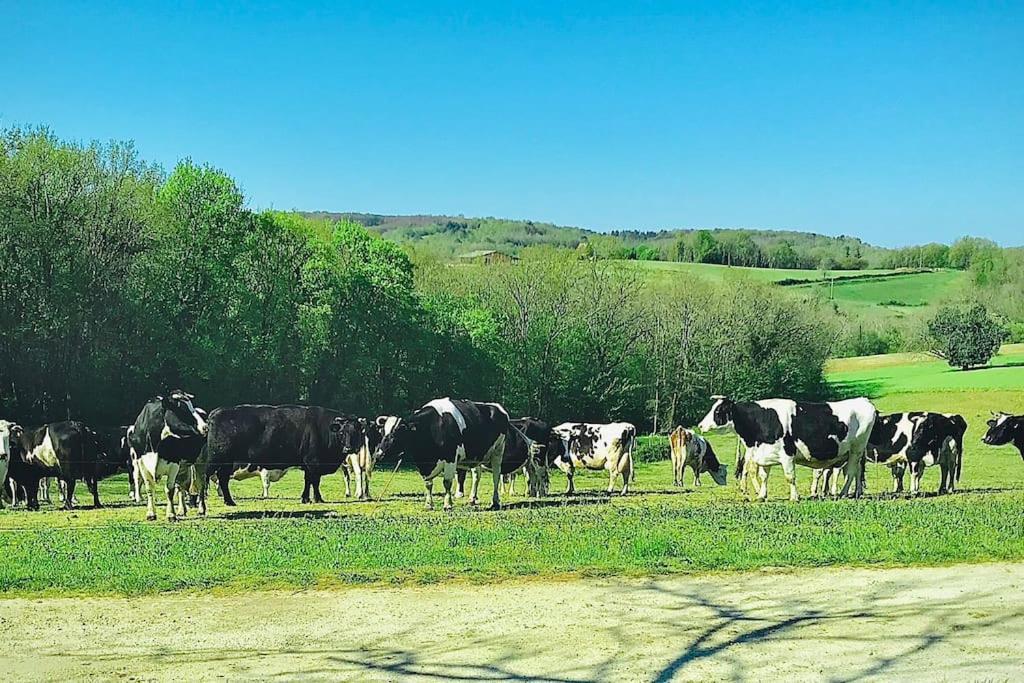 « Le Vieux Hangar » Gite A La Ferme Truffe Exterior photo